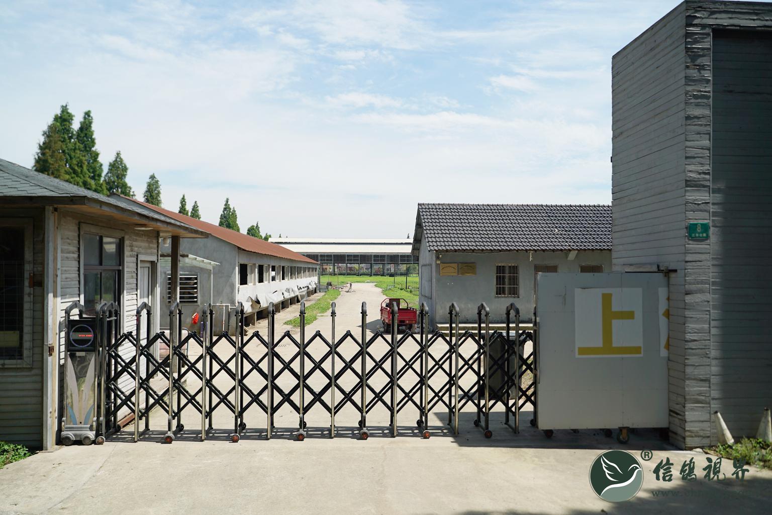 春棚可以说是发生了质的变化,一个完整的赛鸽公棚已完全投入正常运营